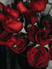 찰스에릭 (찰에)