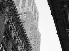 절망과 환희의 조직.