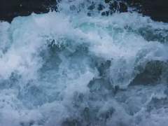 좀비 아포칼립스 中