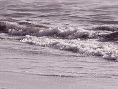 아이러니한 편지