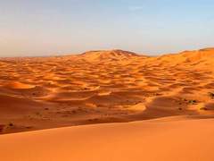 사하라 사막 투어