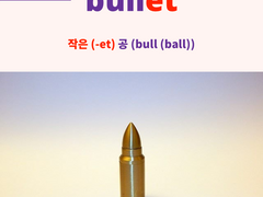 bullet