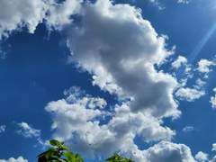 도망 두번째 이야기