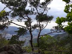 용심부리지 마라