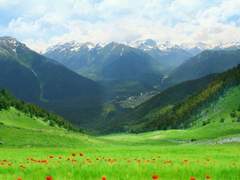 시인 김남열 | 산