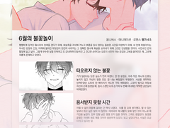 시리즈 형식 페어틀