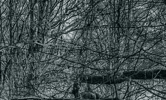 첫눈커 프로필 [윤설담]