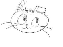 우리는 같은 별이 될 수 없지만