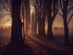 별이 알려줄 거야