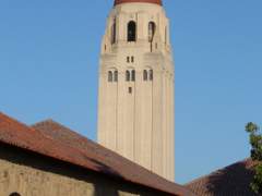Stanford university