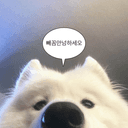 이상한 나라의 새싹잎