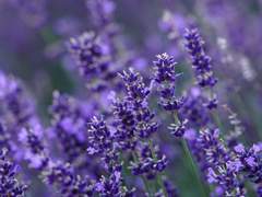 정말 그림은 마음을 치유 하는거야?