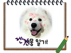 NEO한 판교의 젠뭉🐶일기! E