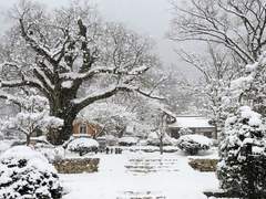 겨울날 구원의 읍소