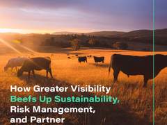 How Greater Visibility Beefs Up Sustainability, Rick Management, And Partner Accountability