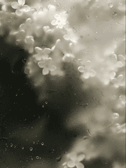 [청려건우] BL소설에 빙의했습니다.