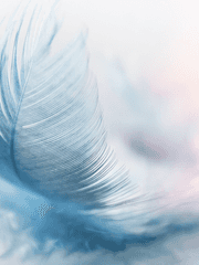 바람이 서늘도하여