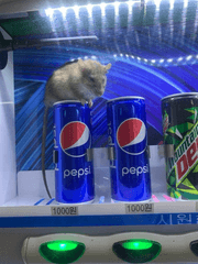 쓰고싶어서 쓰는 글