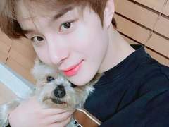 시켜줘 명예강아지