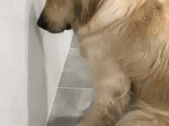 달려라 친구들아