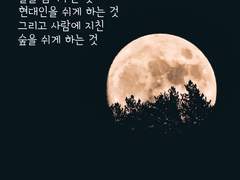 밤이 된다라는 것