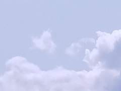 사회부적응자의 告白