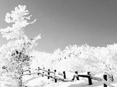 [영일양철] Once upon a time