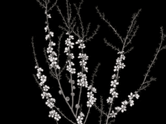 내 품조각을 도려가 당신의 배를 불려도