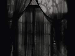 청려주단 [See you tomorrow morning]