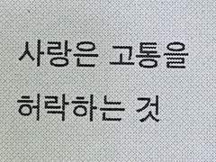 한지신 / 남 / 불명 / 186cm / 인형