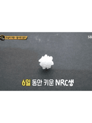 [개인] 퍼스널 스토리