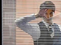 접니다. 개구리.