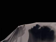 특별한 세자빈 1