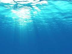 이 목소리로 내 이름 한 번만 나긋하게 불러주면 나는 더 바랄 것 없겠다고, 내가 다 침몰해도 좋겠다고.