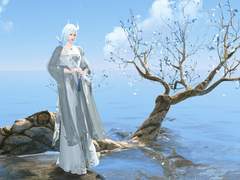 [天涯明月刀/천애명월도] 이화 문파 장비