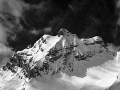 [고죠후시] 저온화상: 나를 태우는 빙하 外