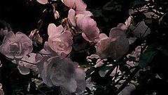 주화준 /26/ 남성