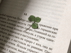 당신의 끝이 찬란하길.