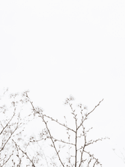 그 계절의 온도