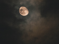 [자하설영] 초월연정담