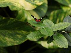 전진하는 별빛에게