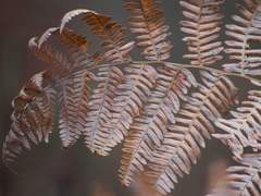 뻗어오르는 별빛 아래에서