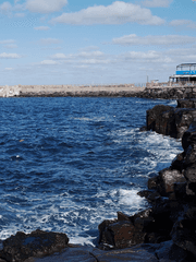 파도는 바다의 일이래