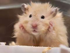 어쩌다보니 드래곤 마스터 12