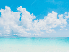 다때려치고뉴라이프살기