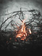 육섭) 평범한 유명 아이돌이었던 내가 이세계에선, 아니 그게 뭔데요!?