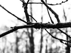 ...그렇게 보지말아.