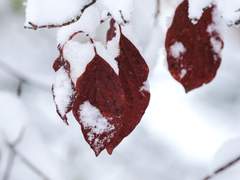 그 길의 끝에서 별님과 함께하길