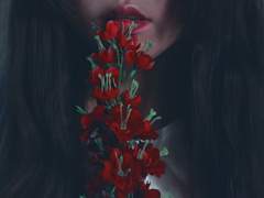 경성학교 : 사라진 소녀들