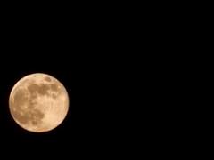 더블보드 의사쌤